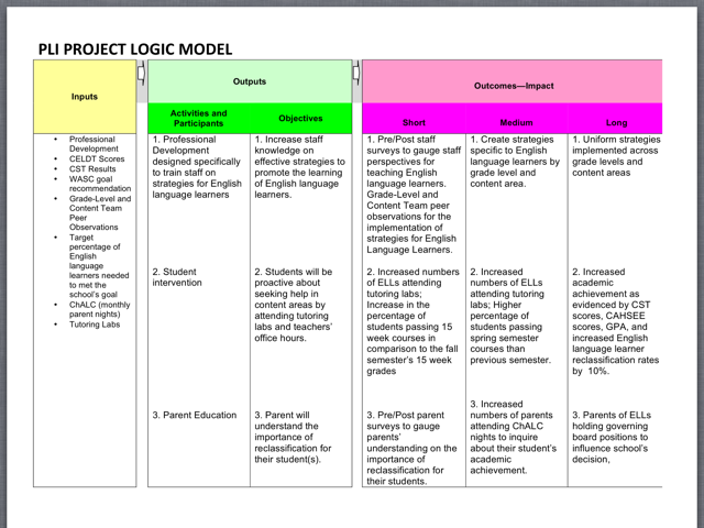 Leadership Project Logic Model
