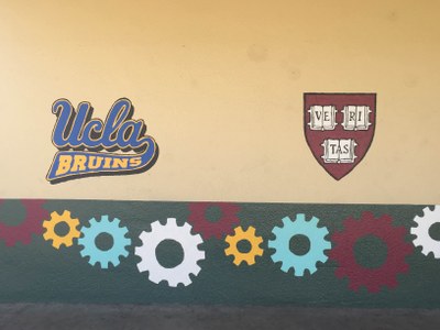 UCLA and Harvard Logo
