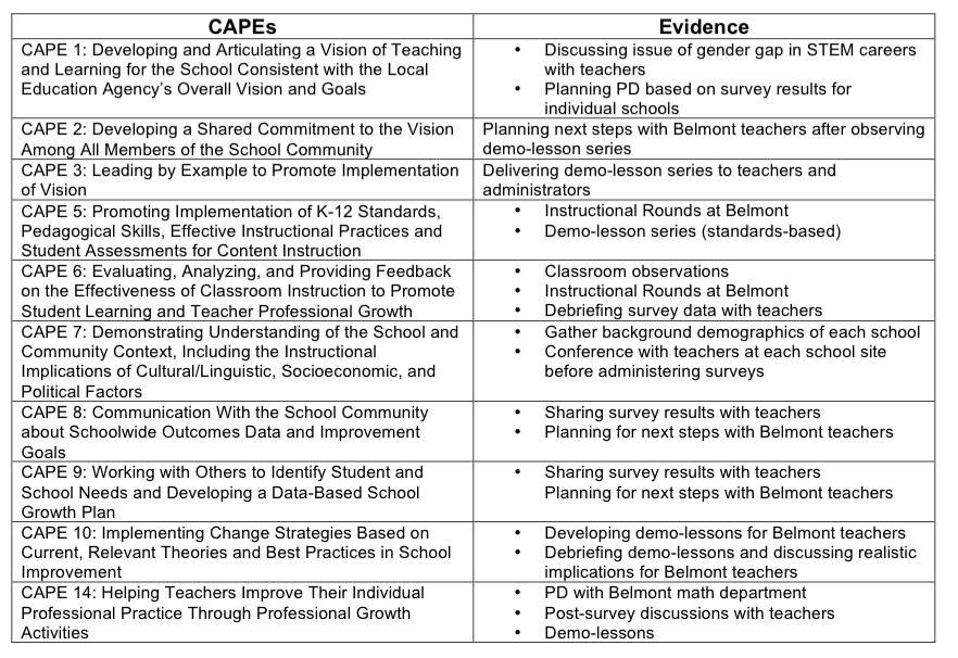 CAPES leadership project